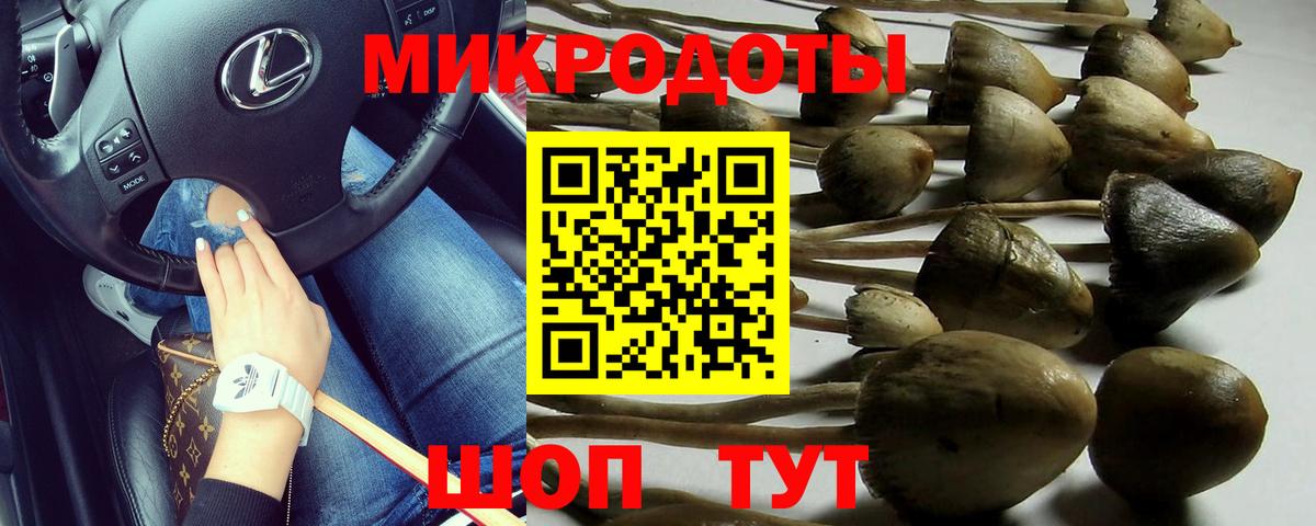 Псилоцибиновые грибы мухоморы  Псилоцибиновые грибы GOLDEN TEACHER  купить наркотик  Апшеронск  Вход с VPN 
